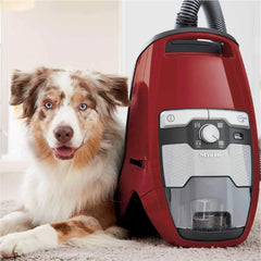 Aspirateur-Traîneau Blizzard CX1 Cat & Dog Turbo PowerLine de Miele - Boîte ouverte