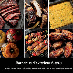 Ninja Woodfire Gril extérieur et fumoir - OG321C - Boîte ouverte