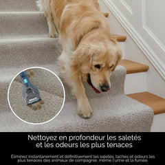 Shark CarpetXpert™ with StainStriker™ Tank - EX200C - Open Box
